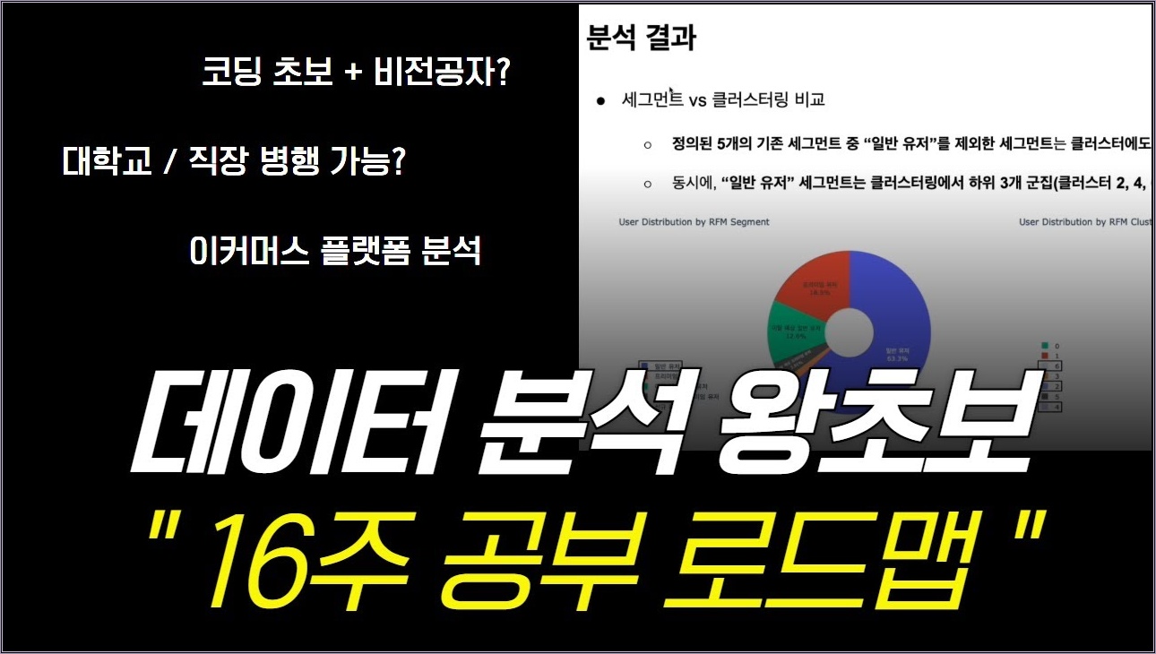 비전공자가 데이터분석 처음 공부한다면? 10분만 이 영상 투자하세요ㅣ이커머스 플랫폼 데이터 분석해보기
